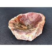 VERSTEINERTES HOLZ ASCHENBECHER 715g