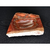 VERSTEINERTES HOLZ ASCHENBECHER 685 gr