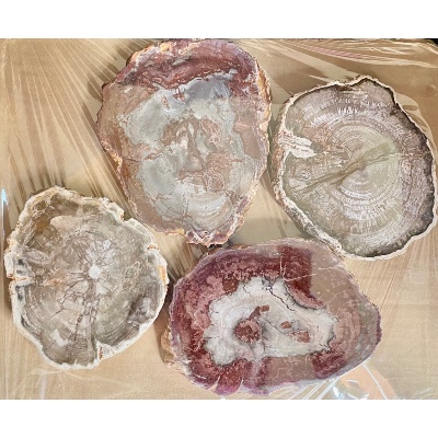 VERSTEIERTER BAUM SCHEIBE zwei POLIERTE SEITEN 1,5 kg