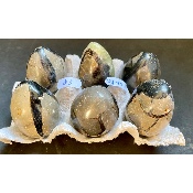 SEPTARIE EI  Box von 6 Stück