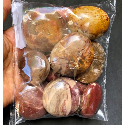 VERSTEINERTES HOLZ HANDSTÜCK Tüte von 500g