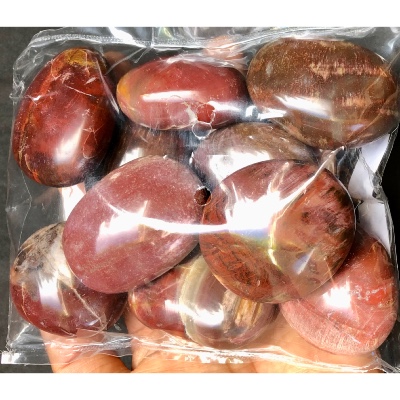 VERSTEINERTES HOLZ HANDSTÜCK Tüte von 500g