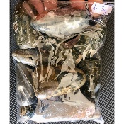 OZEAN JASPIS FREIFORM Lot von 1 Kg