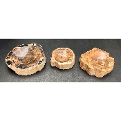 VERSTEINERTES HOLZ ASCHENBECHER 1,63 Kg