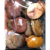 VERSTEINERTES HOLZ HANDSTÜCK Tüte von 500g