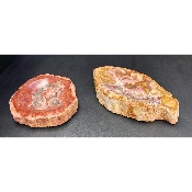 VERSTEINERTES HOLZ ASCHENBECHER Lot von 2,33 Kg