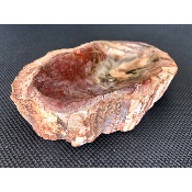VERSTEINERTES HOLZ ASCHENBECHER 715g