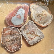 VERSTEIERTER BAUM SCHEIBE zwei POLIERTE SEITEN  1kg
