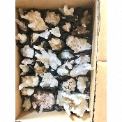 BERGKRISTALL STUFE Box von 21 Stück