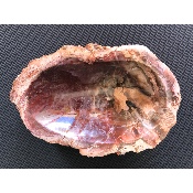 VERSTEINERTES HOLZ ASCHENBECHER 715g