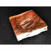 VERSTEINERTES HOLZ ASCHENBECHER 685 gr