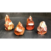 VERSTEINERTES HOLZ FLAMME  4 Stück