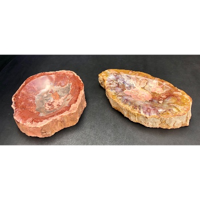 VERSTEINERTES HOLZ 2,88 Kg