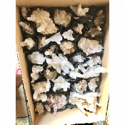 BERGKRISTALL STUFE Box von 21 Stück