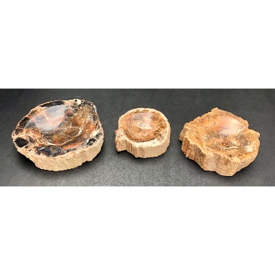 VERSTEINERTES HOLZ ASCHENBECHER 1,63 Kg