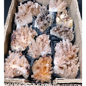 BERGKRISTALL STUFE 11 Stück