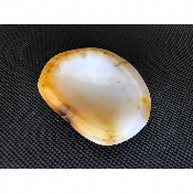ACHAT  ASCHENBECHER 195 gr