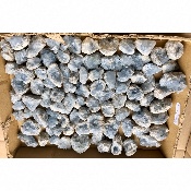 COELESTIN DRUSE Box von 5,53 kg