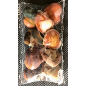 BEDRUCKTER JASPIS HERZ Lot von 10 Stück
