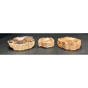VERSTEINERTES HOLZ ASCHENBECHER 1,63 Kg
