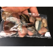 BEDRUCKTER JASPIS gebohrt HERZ Lot von 12 Stück