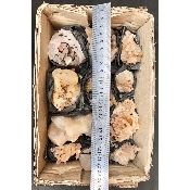 BERGKRISTALL STUFE 12 Stück