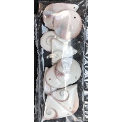 ST LUCIA (MUSCHEL) ANHÄNGER Tüte von 10 Stück