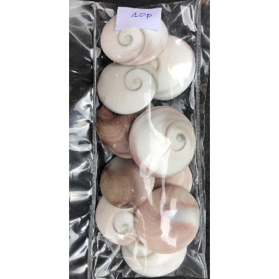  ST.LUCIA (MUSCHEL) Tüte von 10 Stück