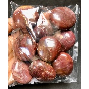 VERSTEINERTES HOLZ HANDSTÜCK Tüte von 500g
