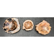 VERSTEINERTES HOLZ ASCHENBECHER 1,63 Kg