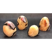 SEPTARIE FREIFORM Lot von 4 Stück