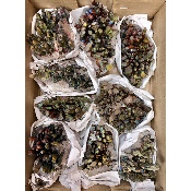 Roher QUARZ REGENBOGEN 10 Stück