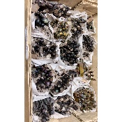 Roher QUARZ REGENBOGEN 15 Stück