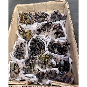 Roher QUARZ REGENBOGEN 15 Stück