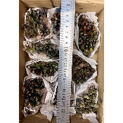 Roher QUARZ REGENBOGEN 10 Stück