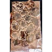 VERSTEINERTER BAUM SCHEIBE zwei POLIERTE SEITE Paket 500g