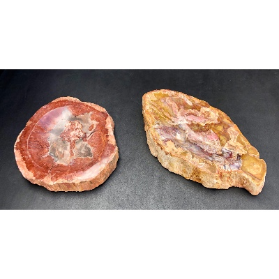 VERSTEINERTES HOLZ ASCHENBECHER Lot von 2,33 Kg