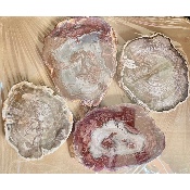 VERSTEIERTER BAUM SCHEIBE zwei POLIERTE SEITEN 1,5 kg