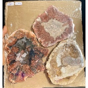 VERSTEINERTER BAUM SCHEIBE zwei polierte Seiten 1500 g