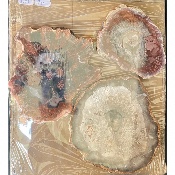 VERSTEINERTER BAUM SCHEIBE zwei polierte Seiten 1500 g