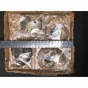 AMMONIT  Box von 1410 g / 4 Paare
