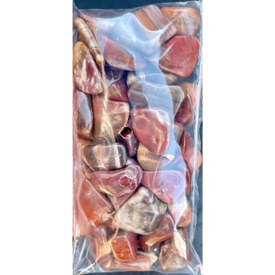 VERSTEINERTES HOLZ TROMMELSTEIN Tüte von 250g