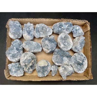 COELESTIN Box von 17 Stück