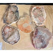 VERSTEIERTER BAUM SCHEIBE zwei POLIERTE SEITEN 1,5 kg