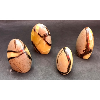 SEPTARIE FREIFORM Lot von 4 Stück